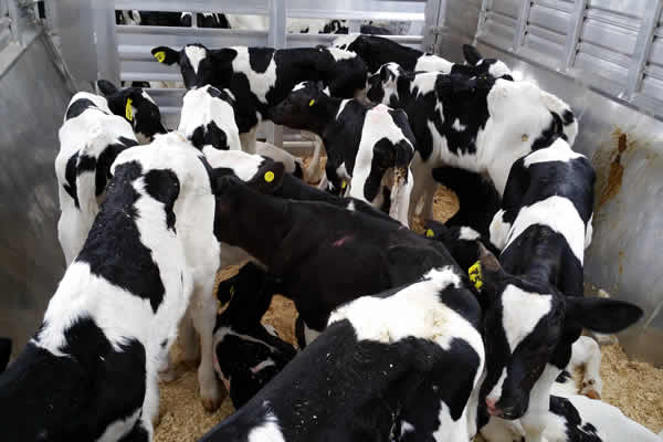 Customer Reviews for Full Throttle Farms in Spencer Wisconsin